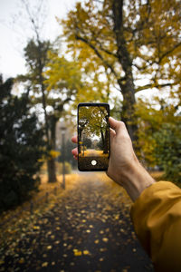 Midsection of person photographing mobile phone on tree