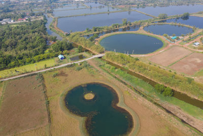 High angle view of agricultural field