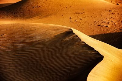 Close-up of dam on sand