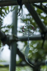 Close-up of water drops on plant