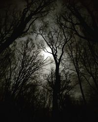 Low angle view of silhouette bare trees in forest