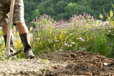Low section of person standing on flowering plant