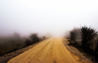 Road passing through forest