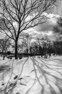 Bare trees on snow covered field against cloudy sky