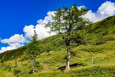 Scenic view of landscape against cloudy sky