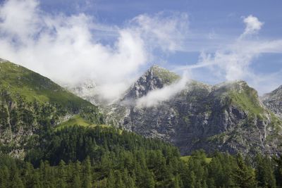 Panoramic view of trees and mountains against sky