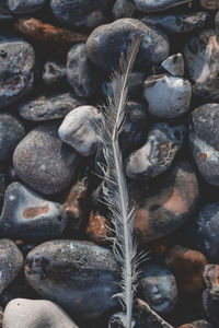 Full frame shot of stones