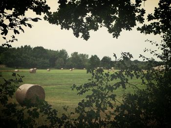 Hay bales on field against sky