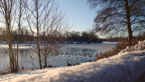 Scenic view of lake against clear sky during winter