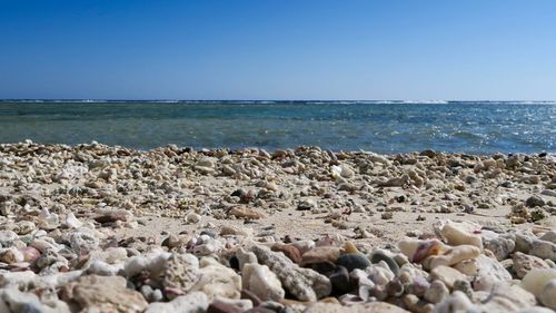 Pebbles on beach against clear blue sky