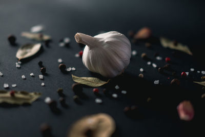 Close-up of garlic and peppercorns on gray background