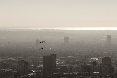 Birds flying over city against sky