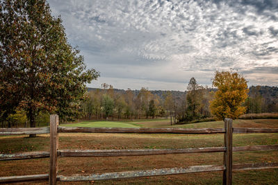 Trees on field against sky