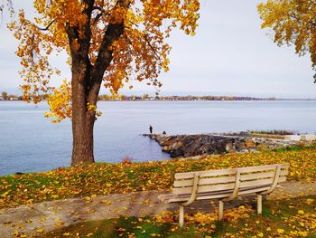 Tree by lake against sky during autumn