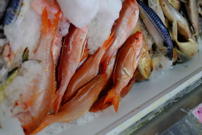 High angle view of fish on ice for sale at market stall