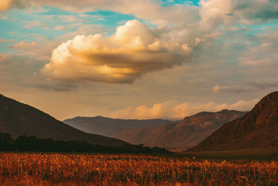 Scenic view of field against sky during sunset