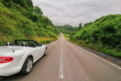 Road amidst trees against sky