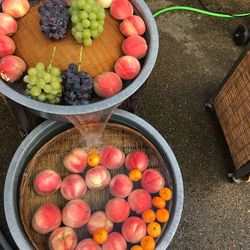 High angle view of fruits in basket