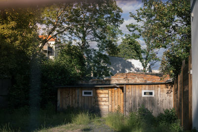 Abandoned house amidst trees and plants against sky