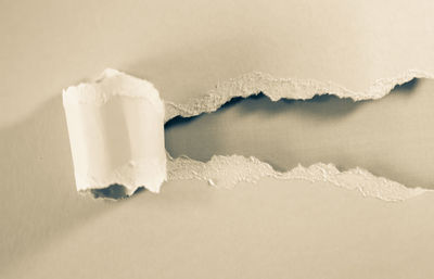 Close-up of ice cream against white background