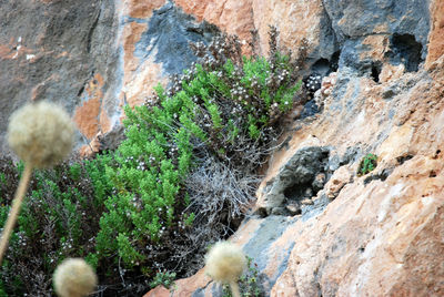 High angle view of rocks on land