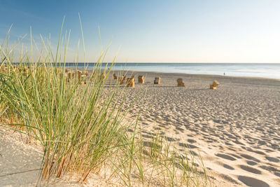 Scenic view of beach against clear sky