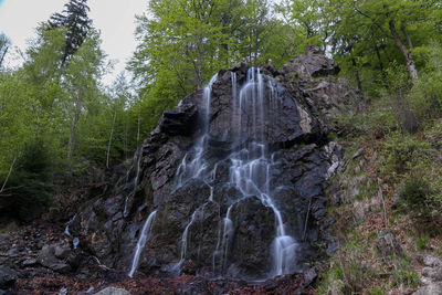 Waterfall in forest