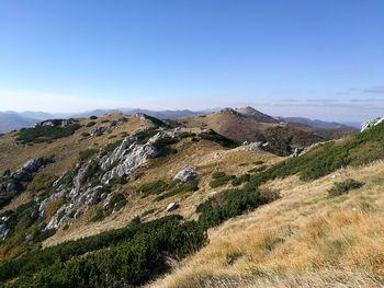 Scenic view of landscape against clear sky