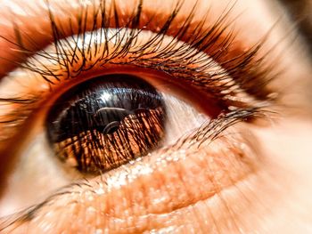 Extreme close-up of woman eye