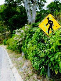 Yellow arrow symbol on road