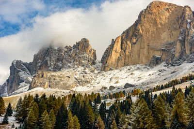 Trees against rocky mountains during winter