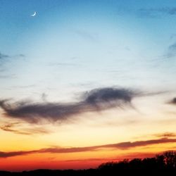 Low angle view of silhouette trees against sky during sunset