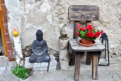 Potted plant on chair against wall