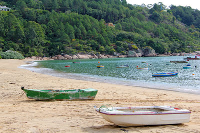 Boat moored on beach by trees