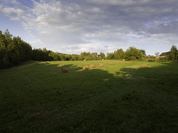 Scenic view of trees on field against sky