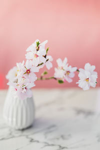 Close-up of flowers on table