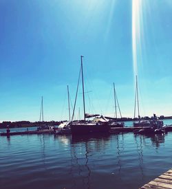 Sailboats in marina