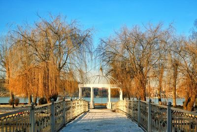 Footpath amidst bare trees against sky