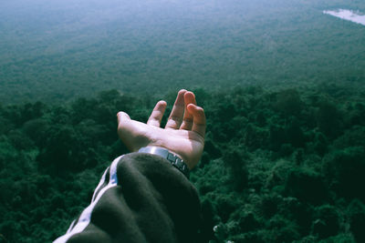 Cropped hand of man gesturing against forest
