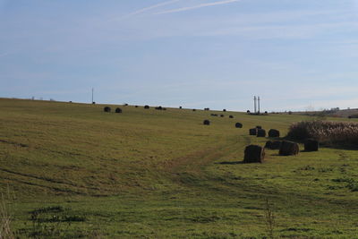 Hay bales in farm against sky