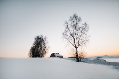 Bare trees on snow covered landscape against clear sky