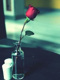 Close-up of flower vase on table