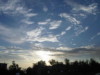 Silhouette trees against sky during sunset