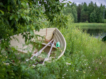 View of tractor in garden