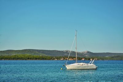 Sailboat sailing on sea against clear sky