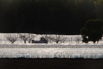 Frozen lake by trees against sky during winter