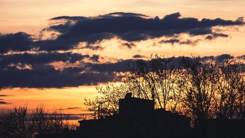 Silhouette trees and buildings against sky during sunset