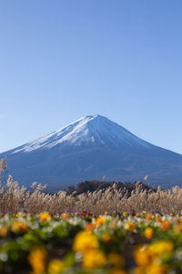 Scenic view of mountains against clear blue sky