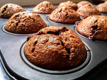 Close-up of chocolate muffins on baking tray