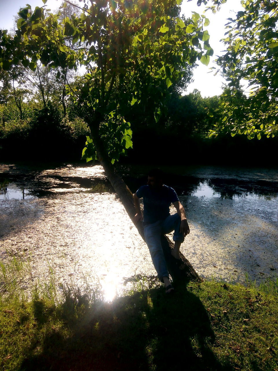 VIEW OF A DOG ON WATER